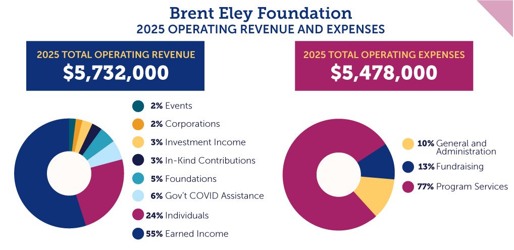 Pie charts showing the organizations financials for 2025